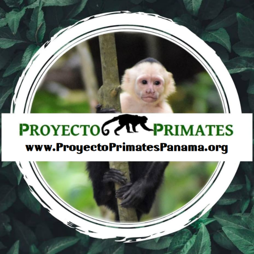 Proyecto Primates Panamá
